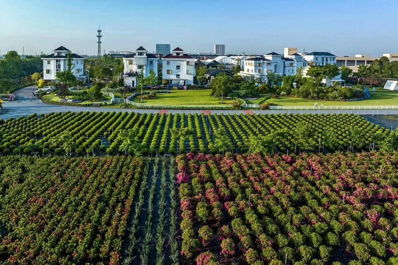 過年不打烊！虹越線上零售渠道營業(yè)安排通知！